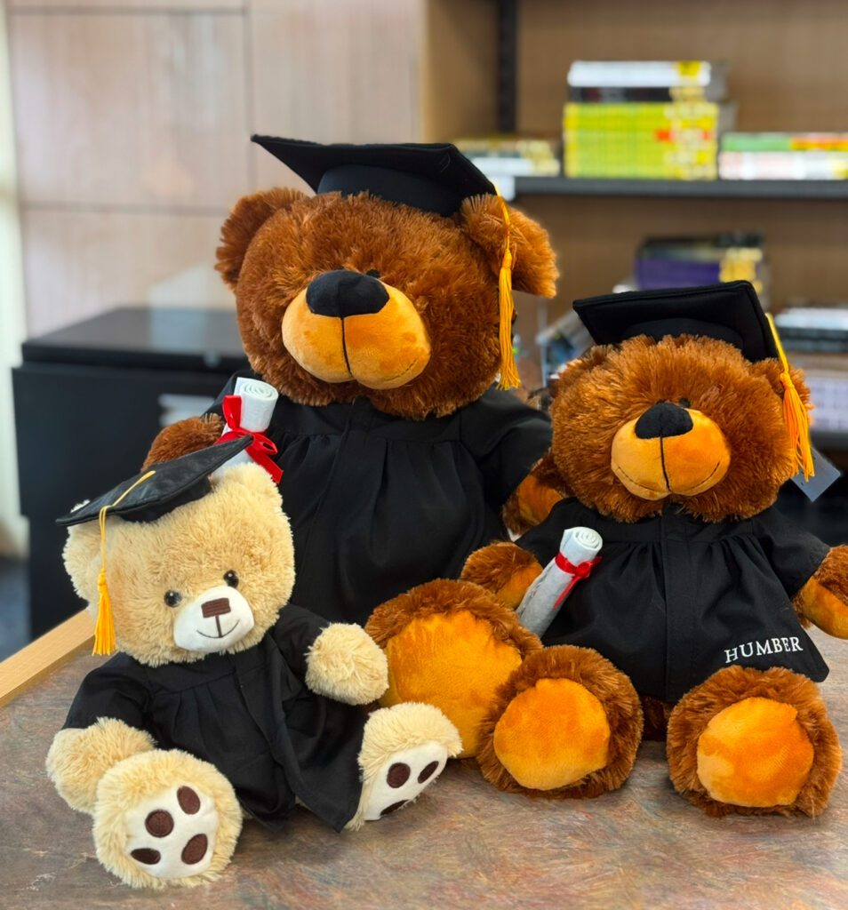 Three Humber graduation teddy bears sitting on top of a table.