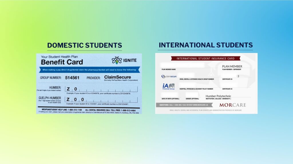 Shows the two kinds of insurance cards the benefit card for domestic students and the international student insurance card for international students.