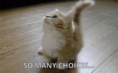 A cat frantically looking around with the caption reading," So many choices..."