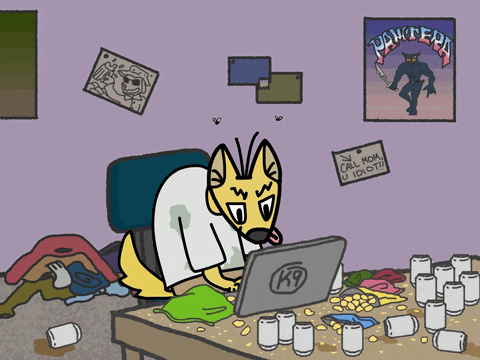 An unhygienic cat is working hard in a messy room on a cluttered desk.