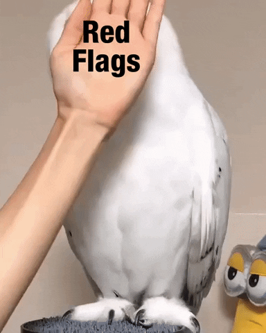 Someone is putting their hands in front of a white bird with the words "Red Flags."