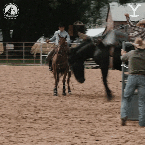 A dummy is riding a jumpy horse.