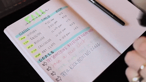 a notebook with resolutions with "Conquer this year" in pink highlighter