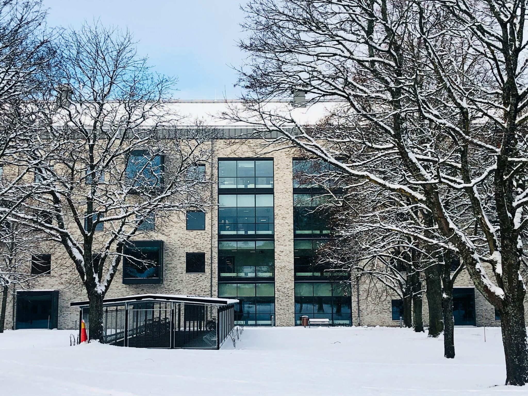 A wide exterior shot of a modern, light-brick building with large grid-style glass windows on a snowy winter day. Bare tree branches heavily dusted with snow frame the foreground, surrounding a snow-covered lawn with a small covered bike shelter in front.