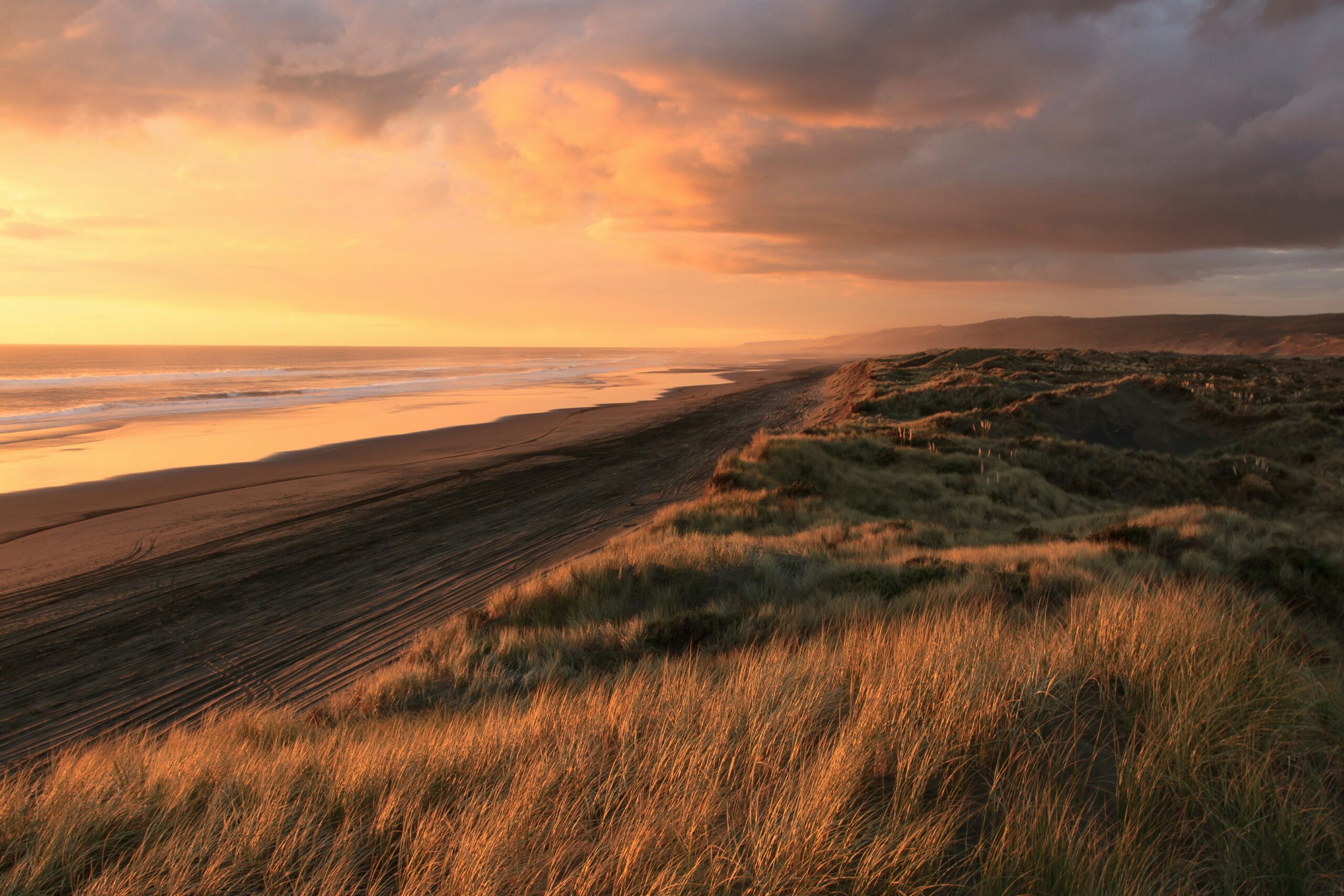 A sunset photo at a field