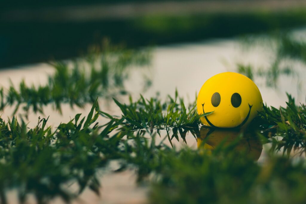 A smiley squish ball kept on wet grass