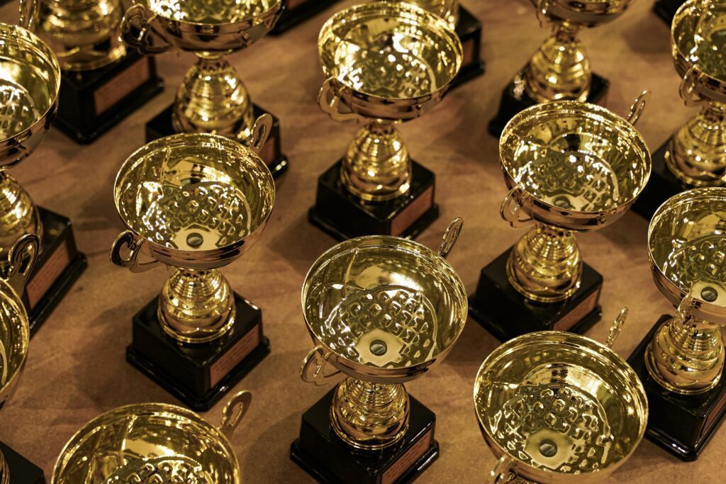 a top shot of a bunch of trophies