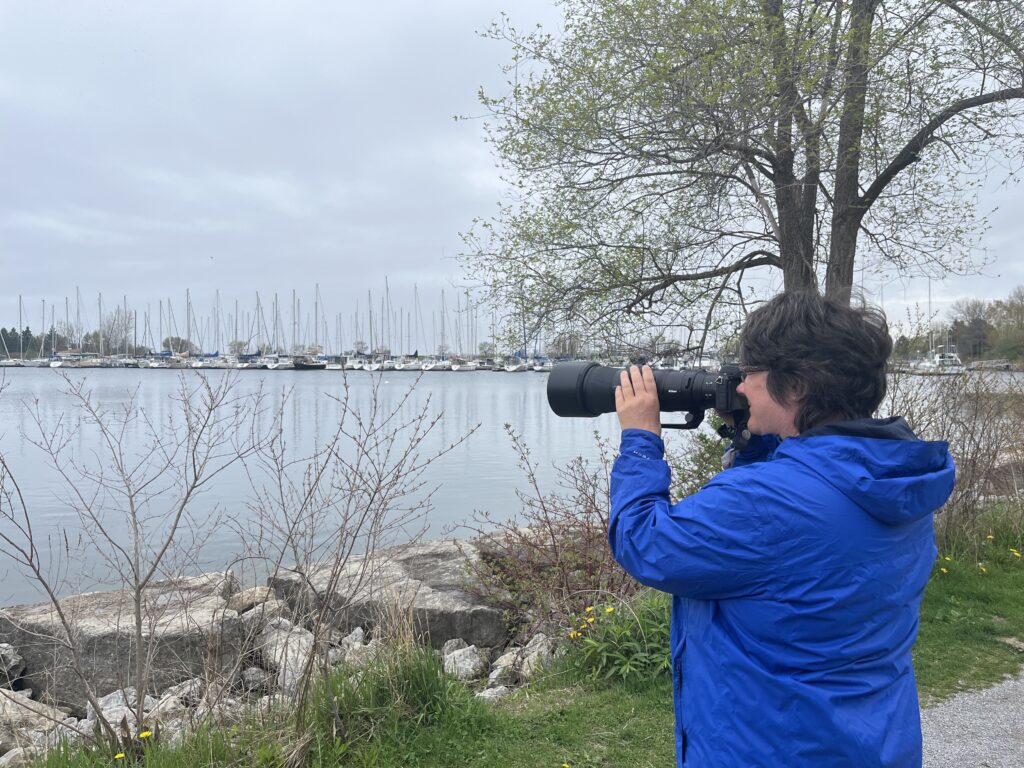 A woman is taking pictures of the lake.