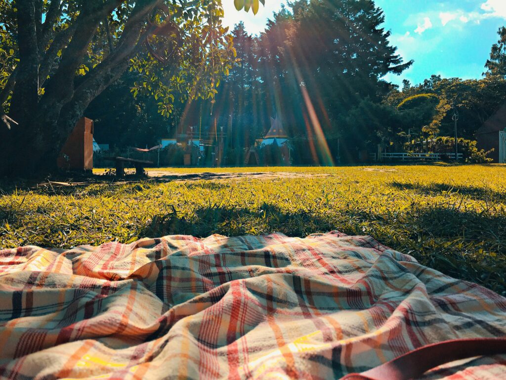 a picnic setup in a sunny grass field