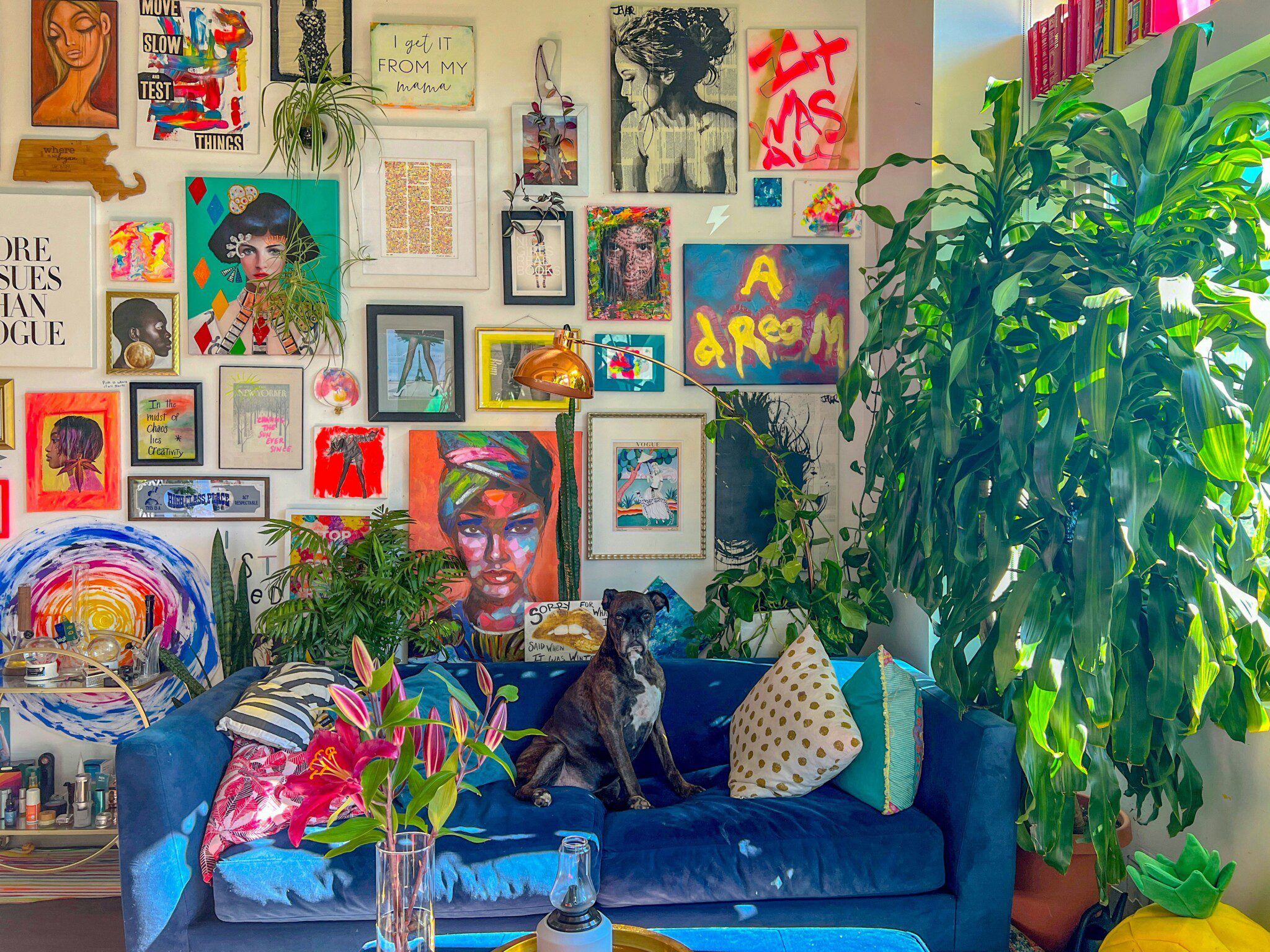 A black dog sits on a blue couch in a colorful living room with vibrant art on the wall, lush green plants, and sunlight streaming in through the window.