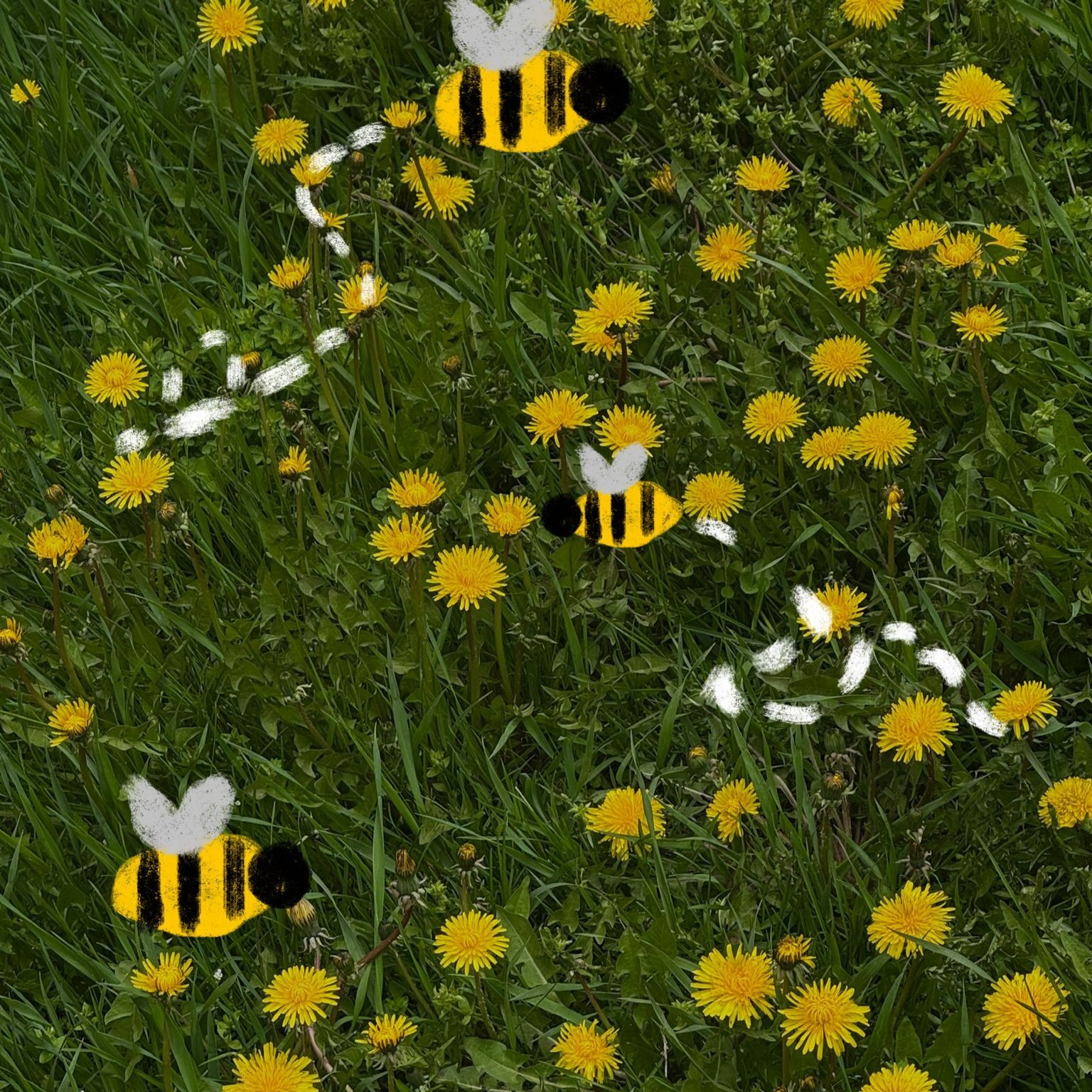 Doodles of Bees on a photo of flowers