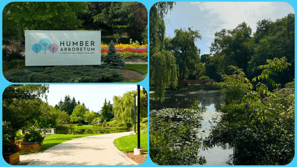Cluster of three images. Image one is a White sign that reads "Humber Arboretum + Centre for Urban Ecology", surrounded by lush green bushes and grass. The sign sits in front of a flower bed, filled with red, yellow, and pink flowers. Image two is a brick path leading around a distant pond. Blue sky and trees line the background. Flower pots and street lights line either side of the path. Image three is a Pond filled with lilypads, surrounded by lush green plants and trees. The sky is blue and has a large white cloud.