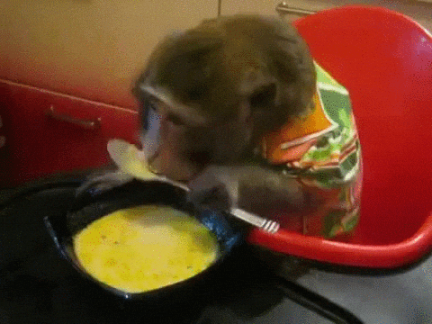 Monkey drinking Soup out of a bowl with a spoon. 